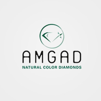 https://www.amgad.com/upload/product/FL006.jpg